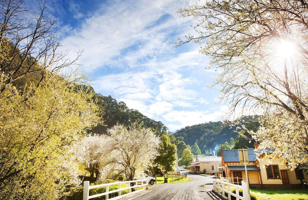 Walhalla'S Star Hotel Dış mekan fotoğraf