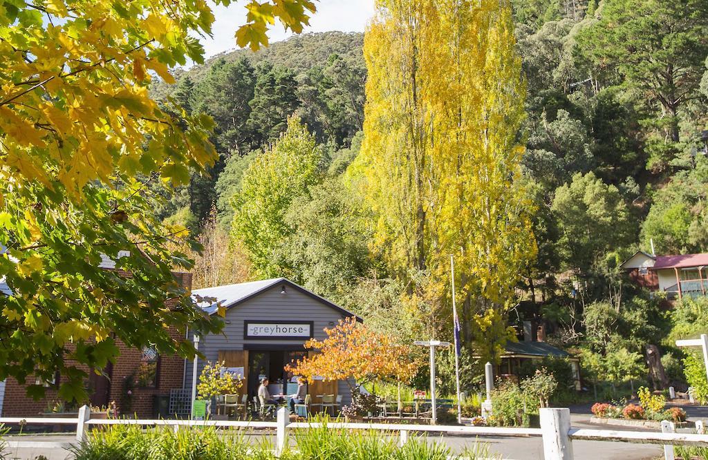 Walhalla'S Star Hotel Dış mekan fotoğraf